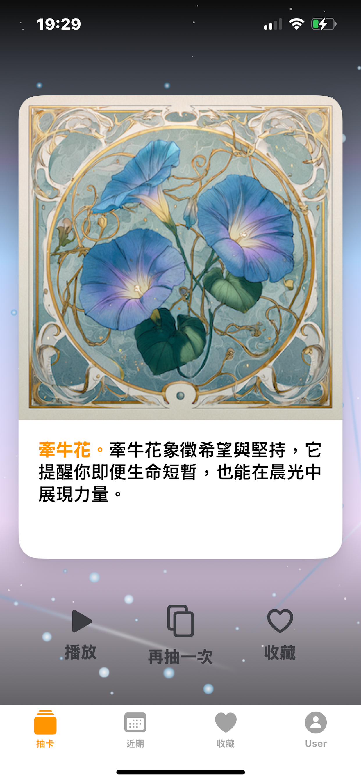 Florards 能量卡卡面